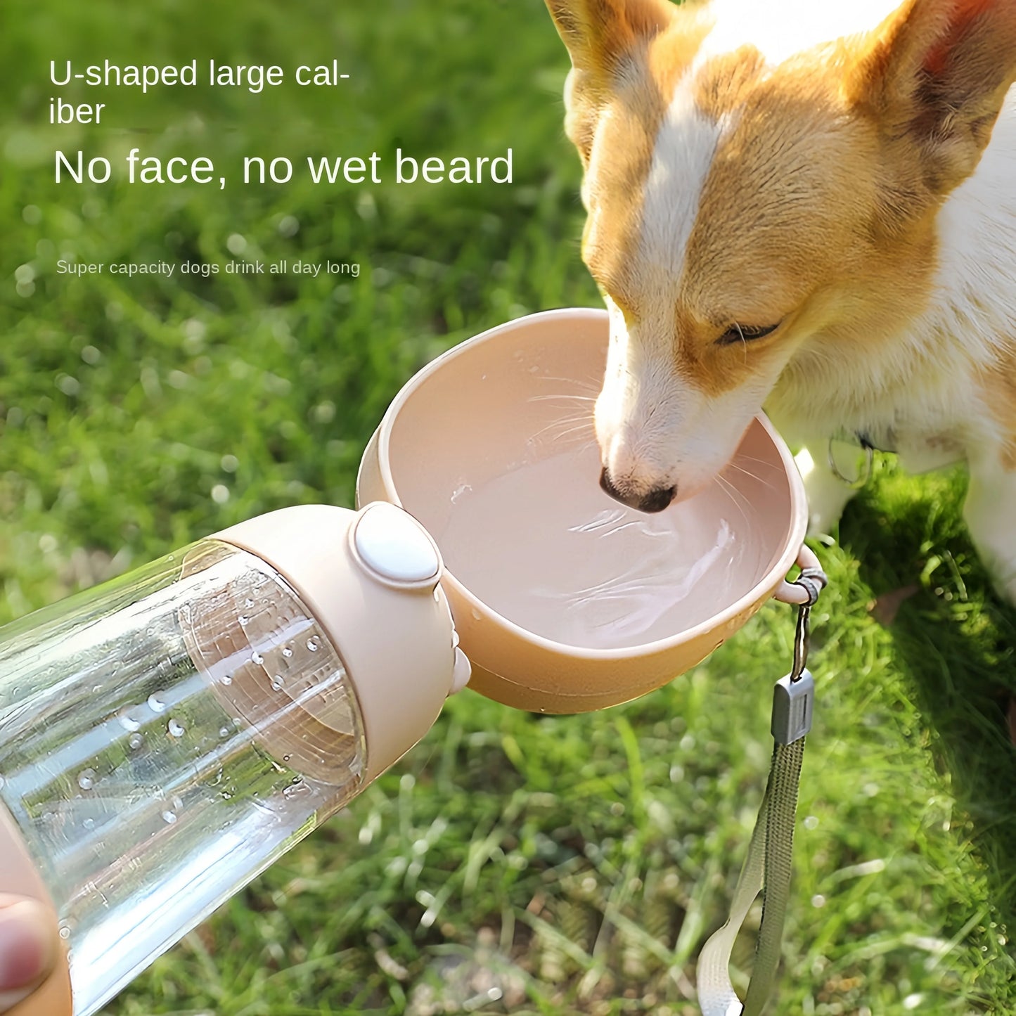 On the Go Water Bottle for Your Furry Friend